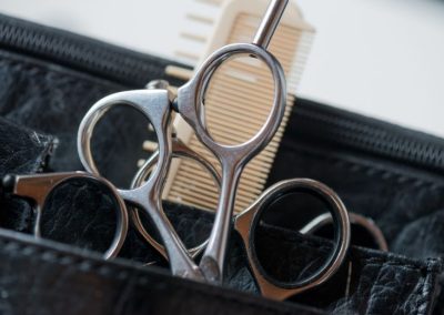 Atención y procedimientos básicos en servicios de peluquería